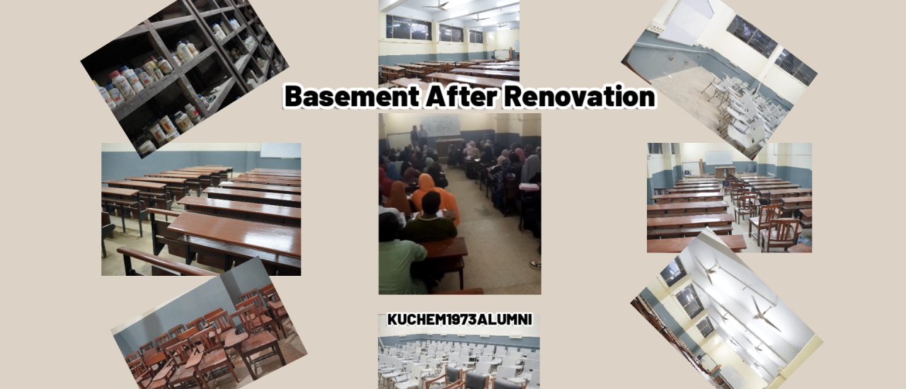 Basement after renovation